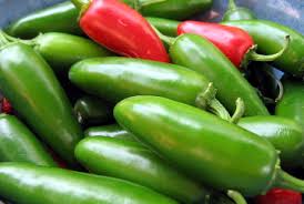 HOT EARLY mexican JALAPENO chilli Pepper 10 seeds